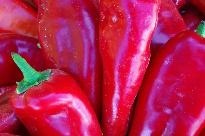 Перец капиа- фото № 5