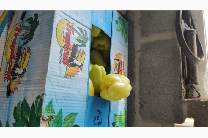 Перець солодкий Геркулес- фото № 4