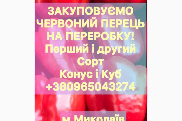 Купуємо перець на переробку- фото № 1
