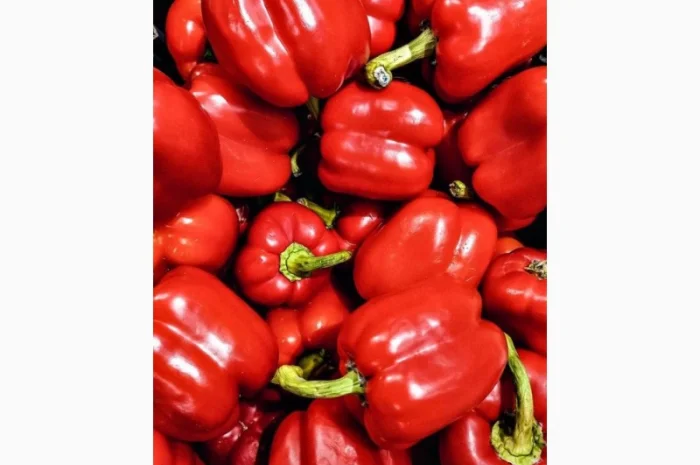 Куплю оптом червоний перець, купляємо по всій Україні- фото № 1