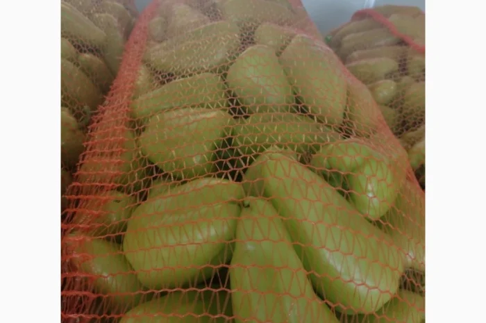 Перец Молдавский- фото № 3