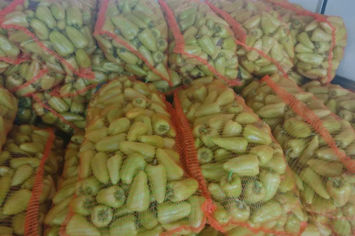 Перец Молдавский- фото № 4