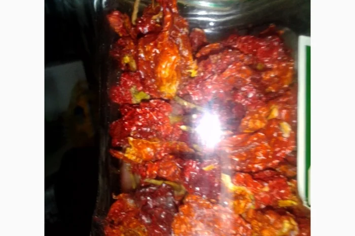 Перець гострий Carolina Reaper найгостріший в світі- фото № 2