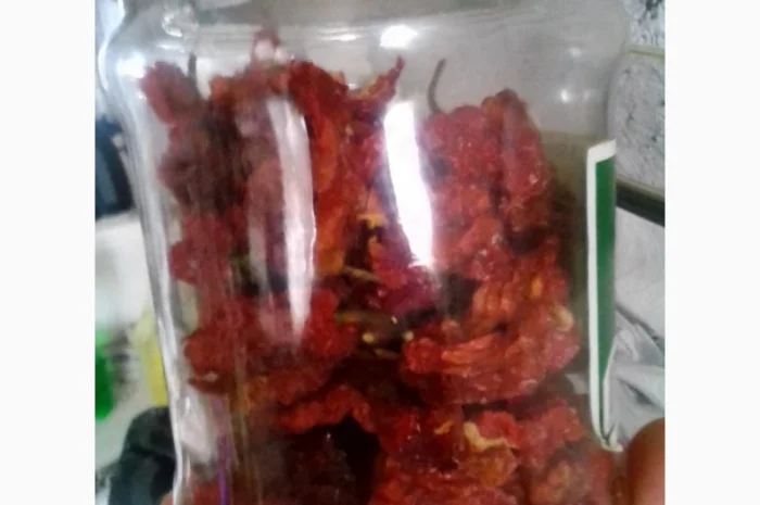 Перець гострий Carolina Reaper найгостріший в світі- фото № 3