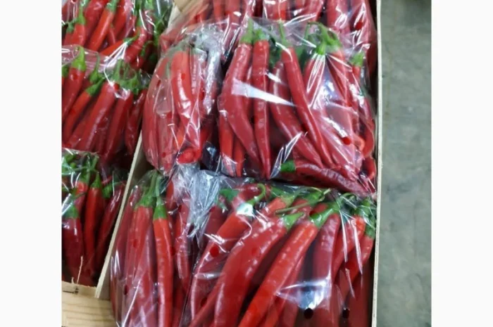 Перец chili red- фото № 1