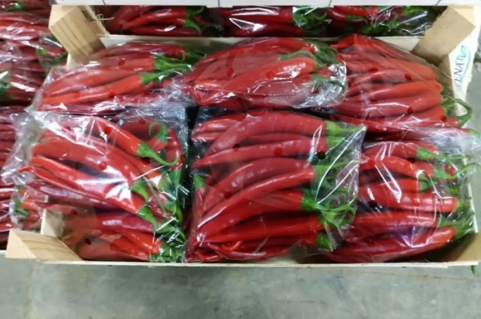 Перец chili red- фото № 2