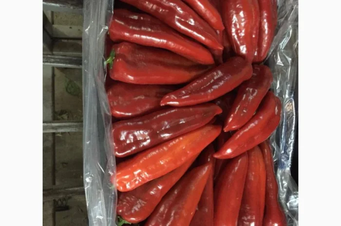 Перец Kapya- фото № 1