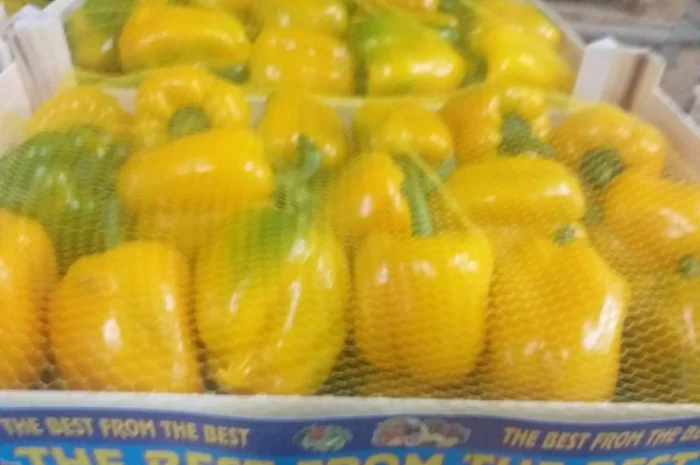 Перец Dolma- фото № 1