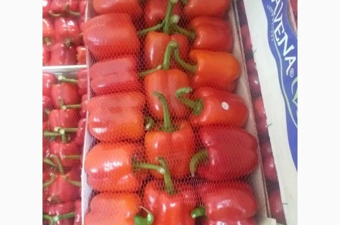 Перец Dolma- фото № 3