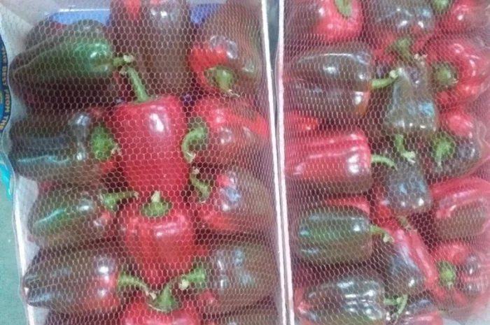 Перец Dolma- фото № 4