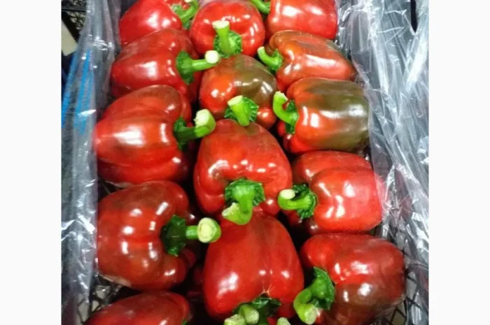 Перец Dolma- фото № 5