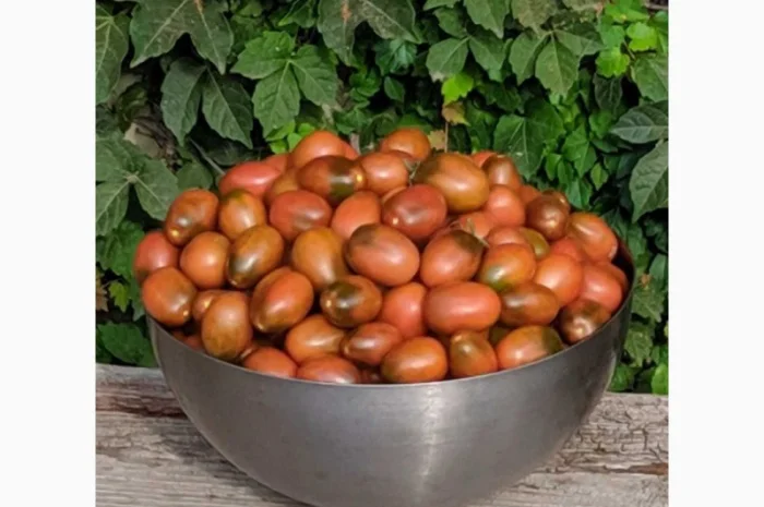 Сушеные помидоры- фото № 3