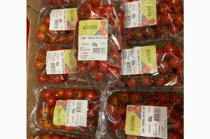 Помідори оптом від виробника- фото № 1