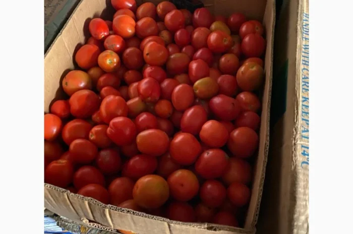 Продам помідор ЗЕЛЕНИЙ ТА ЧЕРВОНИЙ- фото № 1