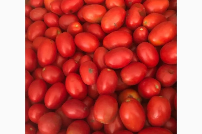 Продам зелений перець та помідор- фото № 4