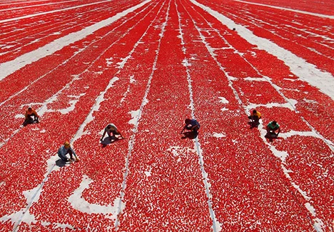 Томати вялені фасовані- фото № 4