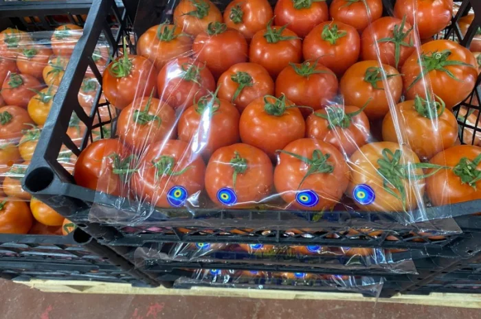 Продаём помидоры сорт высокого качества в тоннах из Турции- фото № 14