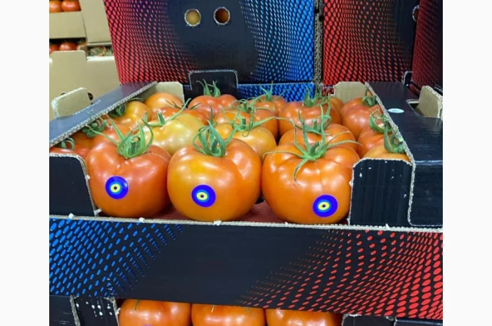 Продаём помидоры сорт высокого качества в тоннах из Турции- фото № 8