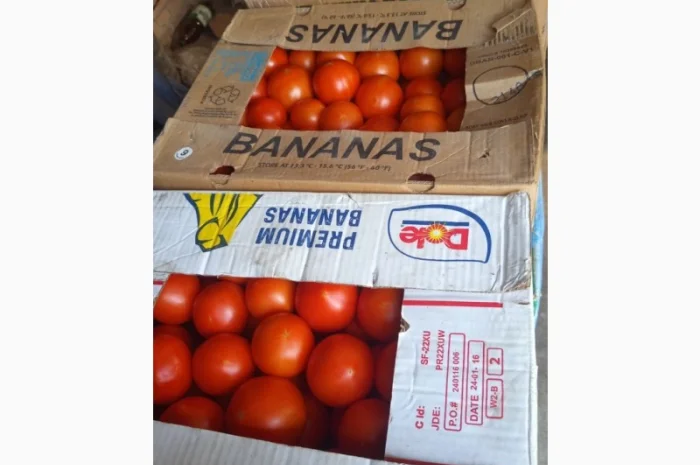 Продам розовый помидор- фото № 2