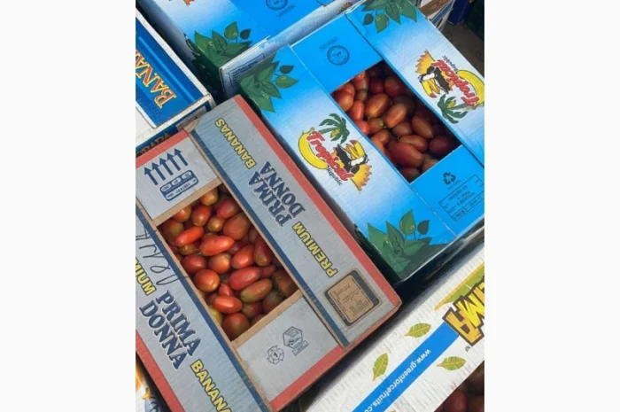 Продам помідор з поля- фото № 2