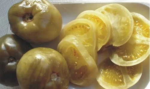 Помідор зелений виший сорт 2020р- фото № 1