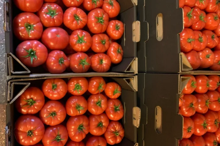 Продам рожевий тепличний помідор- фото № 3