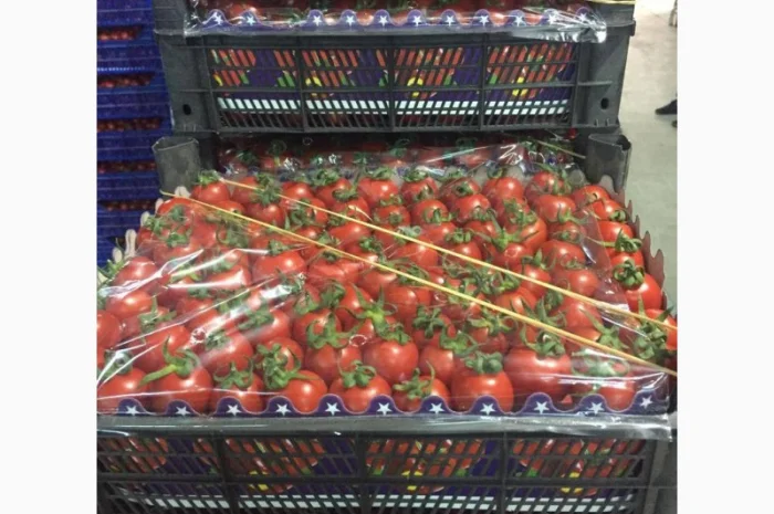 Помидор kokteyl- фото № 3