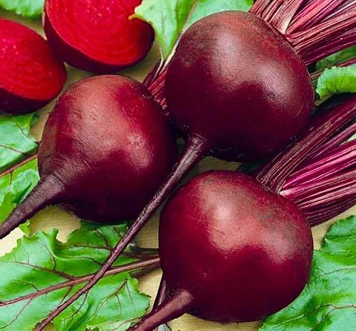 Куплю Буряк столовий оптом- фото № 1