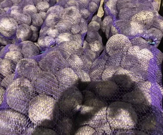 Закупка свеклы оптом в Киеве- фото № 1