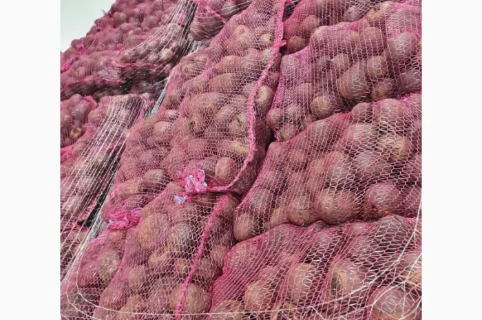 Співпраця з продажу буряка- фото № 1