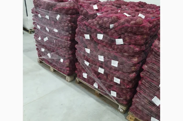 Співпраця з продажу буряка- фото № 2