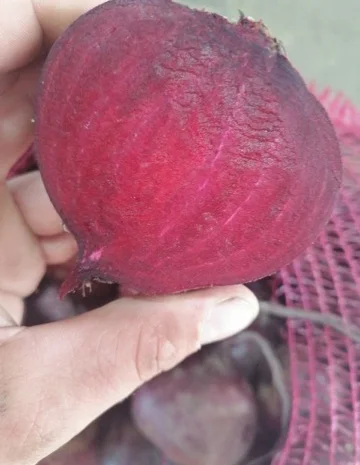 Співпраця з продажу буряка- фото № 3