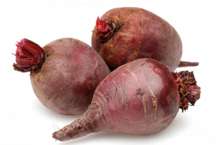 Закупівля буряка першого та другого сорту- фото № 1