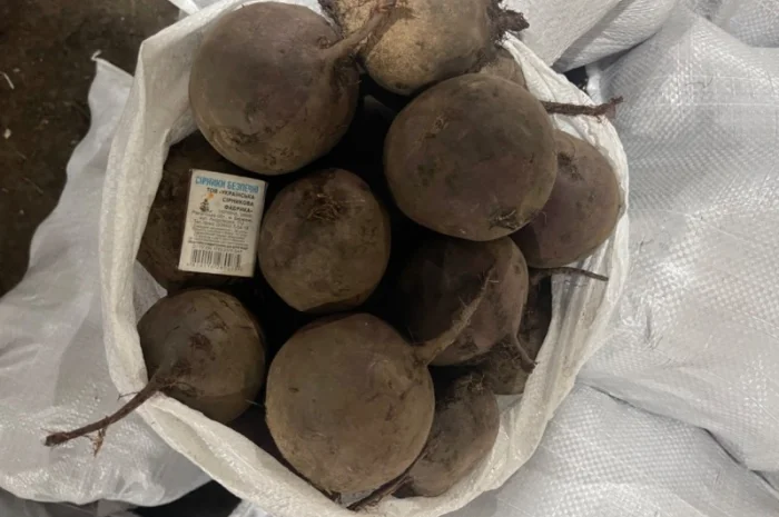 Продаж буряка столового- фото № 2