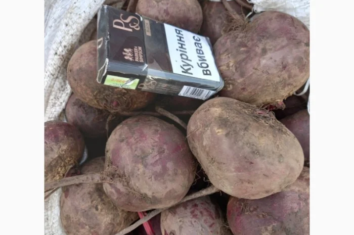 Продаємо буряк- фото № 1