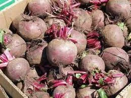 Купляємо буряк оптом по всій Україні- фото № 1