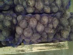 Оптова компанія закуповує буряк оптом з відтермінуванням 14-30 днів- фото № 1