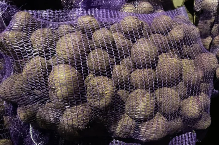 Буряк товарный и 2й сорт!Объем ограничен- фото № 1