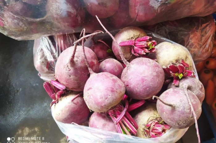 Буряк круглый и цилиндр- фото № 2