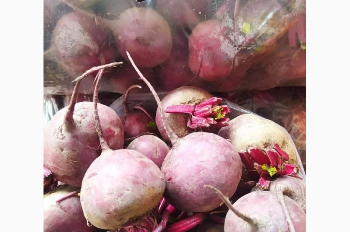 Буряк круглый и цилиндр- фото № 5