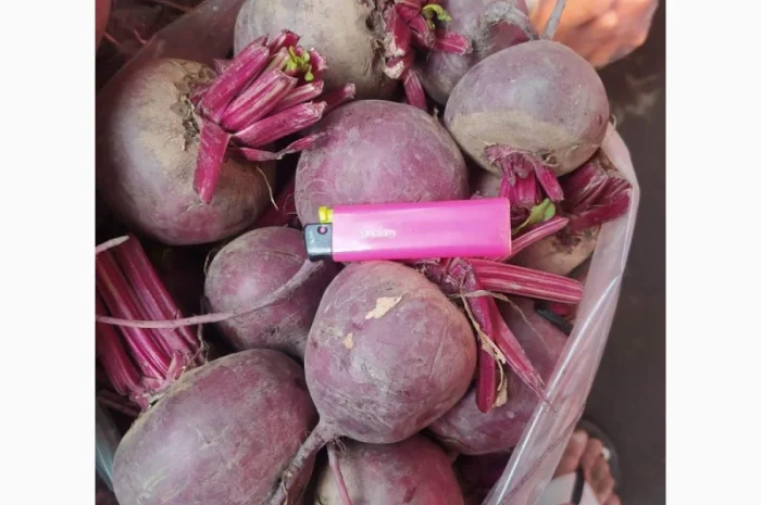 Буряк круглый и цилиндр- фото № 1