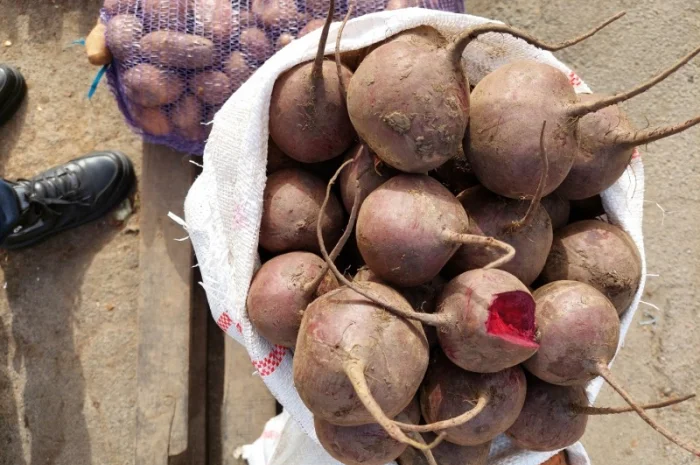 Продам буряк круглий Киев- фото № 2