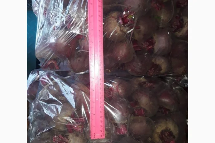 Продам оптом свеклу (буряк), овощи-фрукты г. Киев! Доставка ежедневная- фото № 1