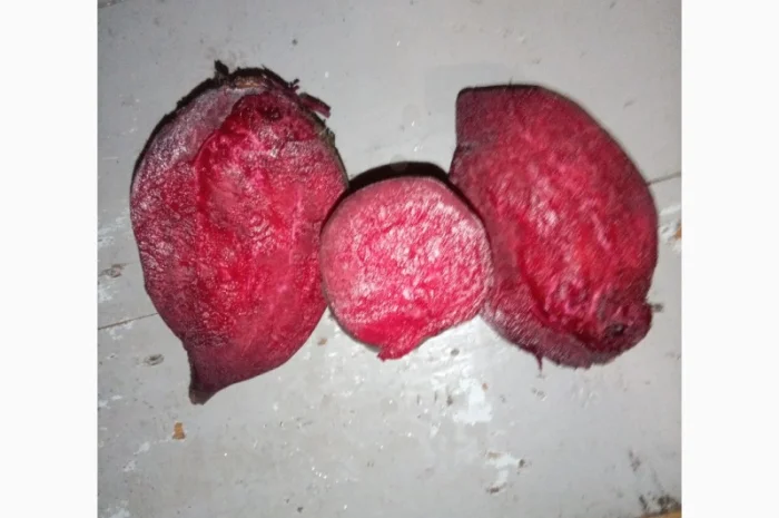 Продам буряк столовий- фото № 1