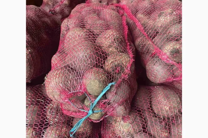 Буряк столовий- фото № 2