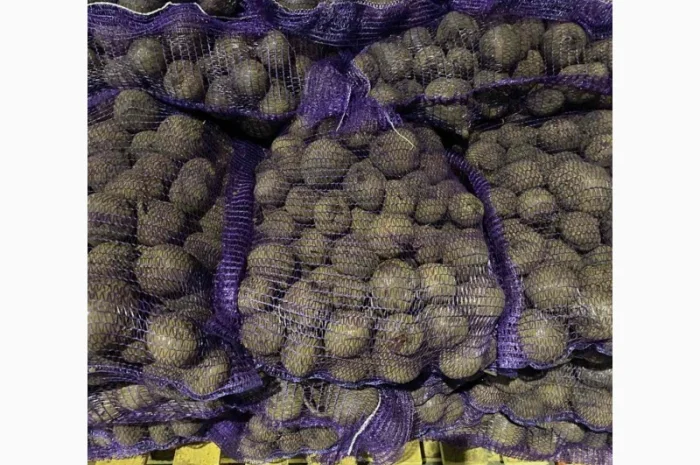 Буряк оптом! Высший сорт! Спеши- фото № 1