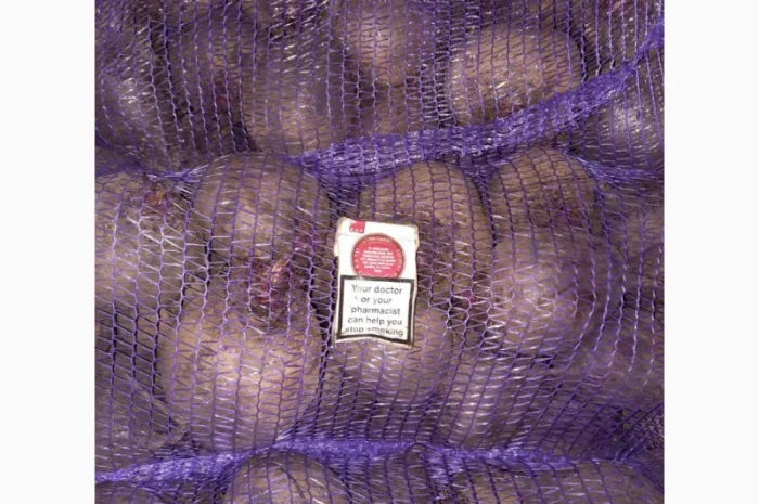 Продам свеклу- фото № 1