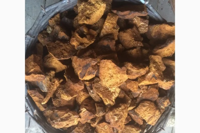 Чага березы без кори 100 грамм 45 грн- фото № 1