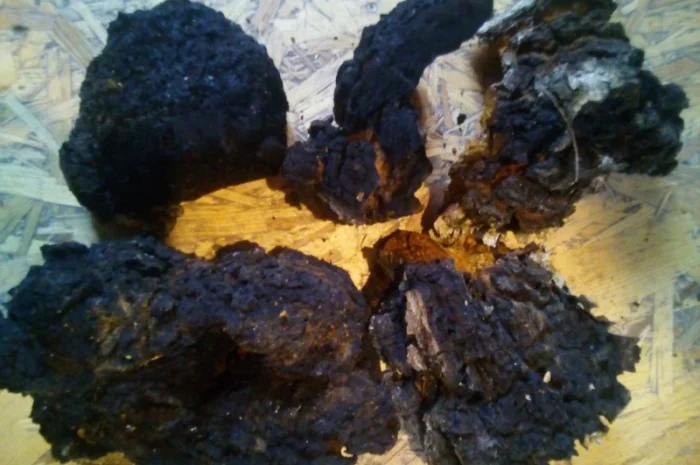 Чага березы без кори 100 грамм 45 грн- фото № 2