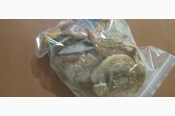 Сухі мухомори урожай 2025- фото № 1